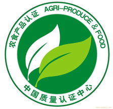 咨询 hse 石油行业健康